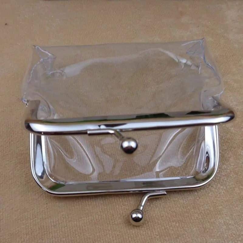 Pretty transparent wallet